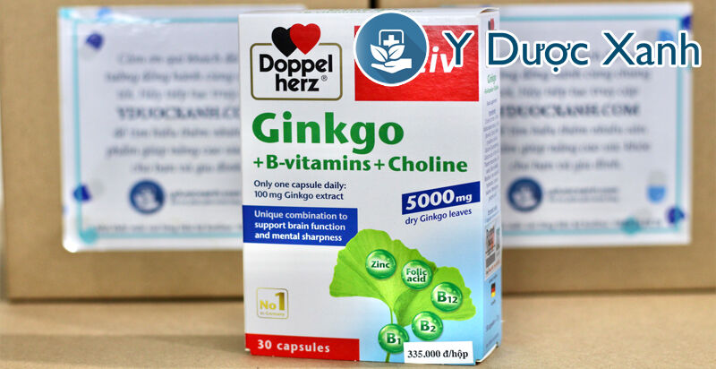 ginkgo + b-vitamine + cholin