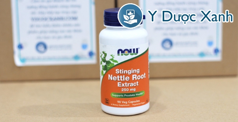 anh-thuc-te-NOW-STINGING-NETTLE-ROOT-1
