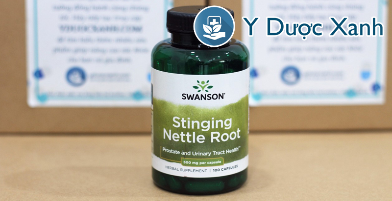 Anh-thuc-te-SWANSON-STINGING-NETTLE-ROOT-1